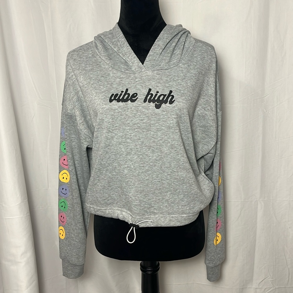 Vine and Valley (L) crop sweatshirt “vibe high”